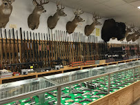 The Guns And Gear Store - Photo 4 - Car repair in Waite Park, MN, St. Cloud