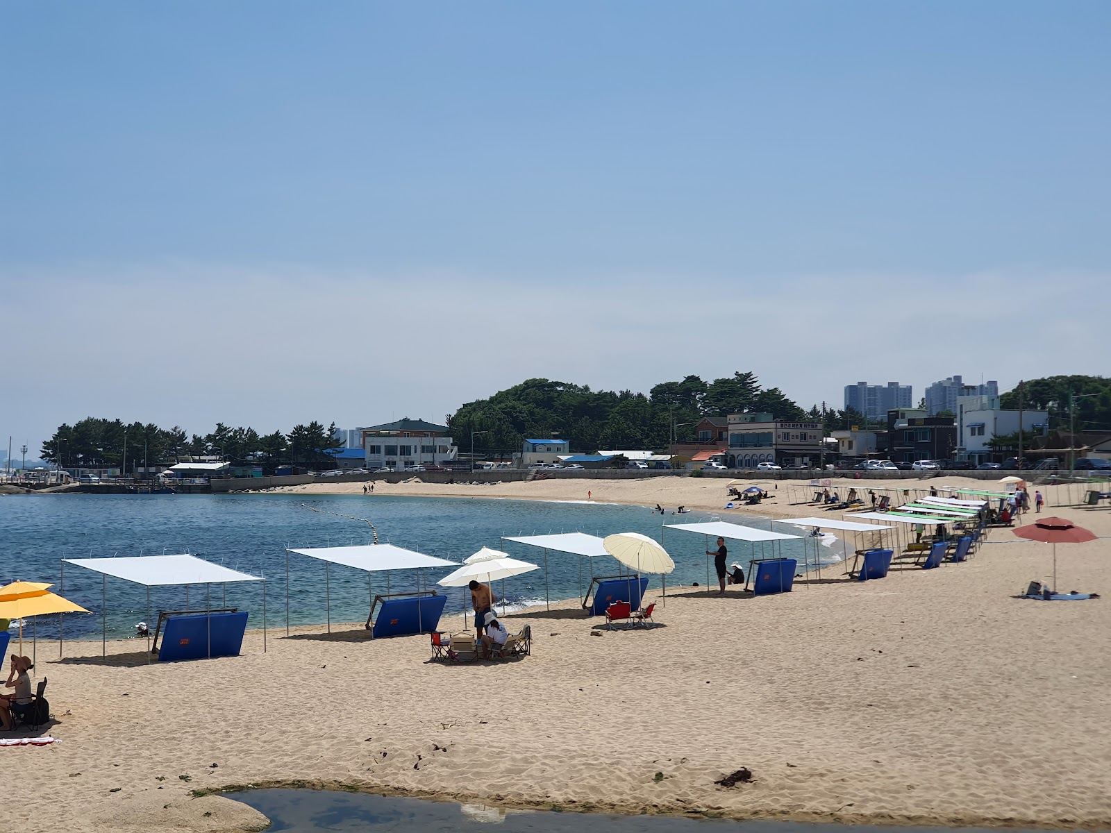 Cheonggan Beach的照片 带有宽敞的海岸