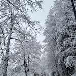 Photo n°5 de l'avis de Sara.i fait le 10/01/2024 à 10:50 sur le  Parkhotel Sole Paradiso à Innichen