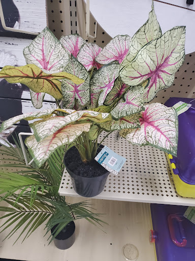 Craft Store «Hobby Lobby», reviews and photos, 1975 17th St, Santa Ana, CA 92705, USA