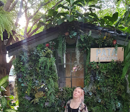 Pata plantation photo