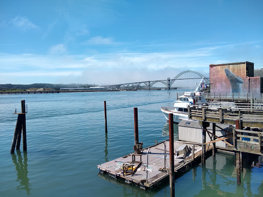 Coffee Shop «Bayscapes Gallery & Coffee house», reviews and photos, 333 SW Bay Blvd, Newport, OR 97365, USA