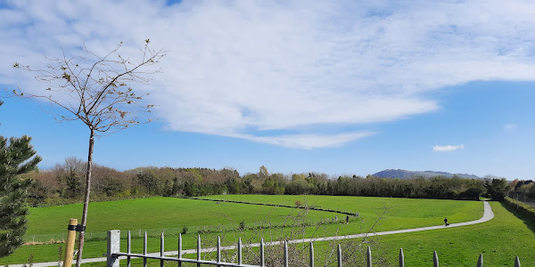 Shanganagh Dog Park