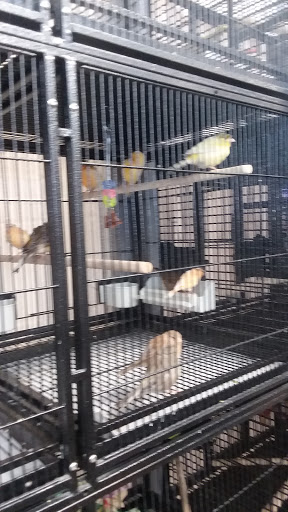 Pet Supply Store «House of Pets Inc», reviews and photos, 29500 Ford Rd, Garden City, MI 48135, USA