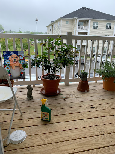 Property Management Company «The Breeden Company», reviews and photos, 560 Lynnhaven Pkwy, Virginia Beach, VA 23452, USA