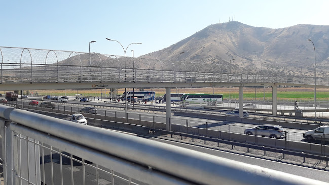 Opiniones de Terminal de buses Colón en San Bernardo - Servicio de transporte