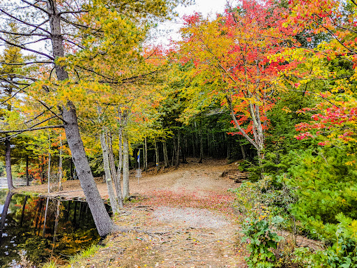 Maple Hill Disc Golf, 132 Marshall St, Leicester, MA 01524, USA, 