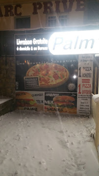 Pizza du Pizzeria Palm’s Pizza à Louvres - n°4