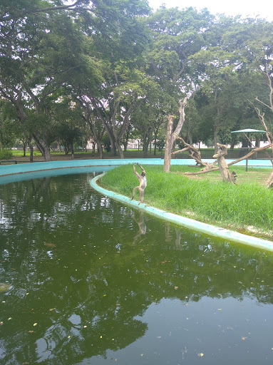 Parque Zoológico Bararida