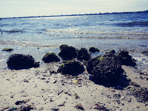 Nature Preserve «Emerson Point Preserve», reviews and photos, 5801 17th St W, Palmetto, FL 34221, USA