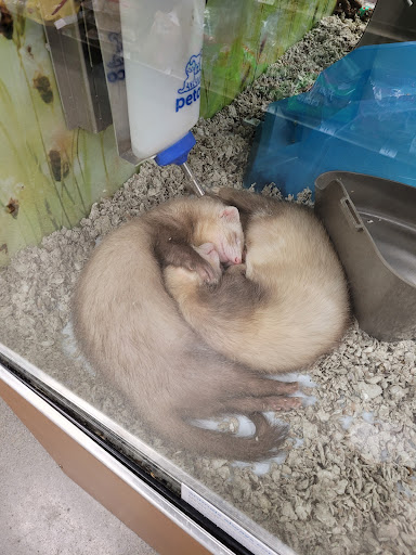 Pet Supply Store «Petco Animal Supplies», reviews and photos, 7215 170th Ave NE #115, Redmond, WA 98052, USA