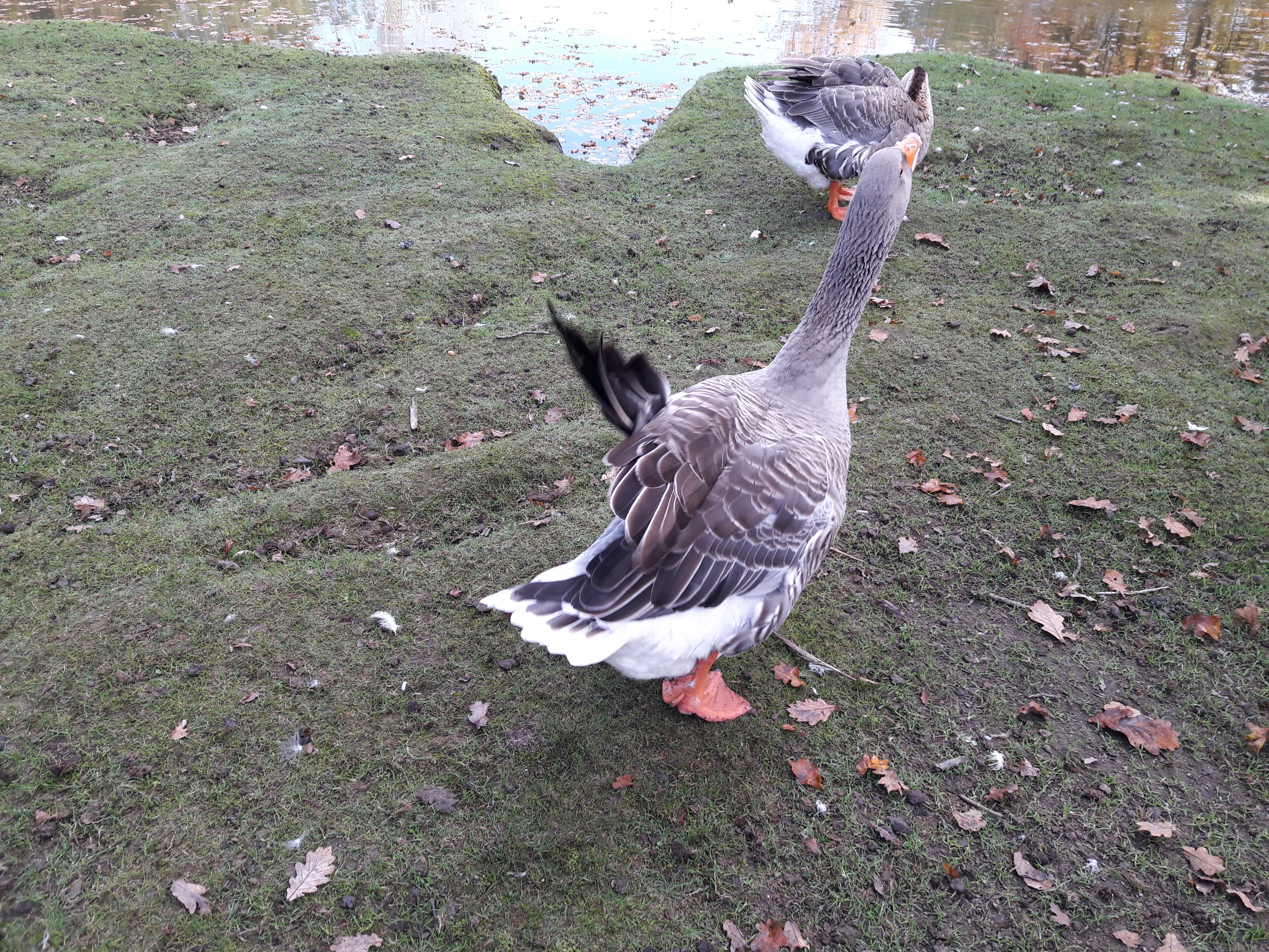 Photo n° 6 de l'avis de Olivier.a fait le 30/10/2016 à 20:01