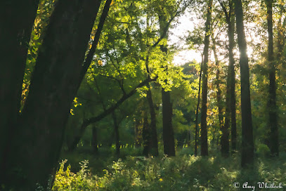 Ouabache Trails Park