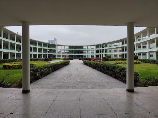 Instituto Pedagógico Nacional Monterrico