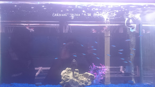 Tropical Fish Store «Fishland», reviews and photos, 13155 Westheimer Rd #114, Houston, TX 77077, USA