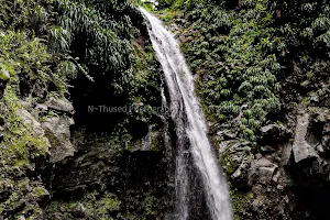 Falls of Baleine image