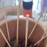 Photo n°2 de l'avis de Michele.o fait le 20/09/2021 à 16:26 sur le  Bar Trattoria Le Taverne à Brittoli