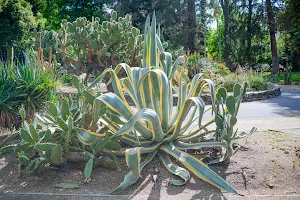 Desert Garden image