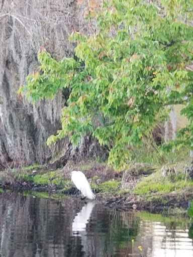 Park «Secret Lake Park», reviews and photos, 200 N Triplet Lake Dr, Casselberry, FL 32707, USA
