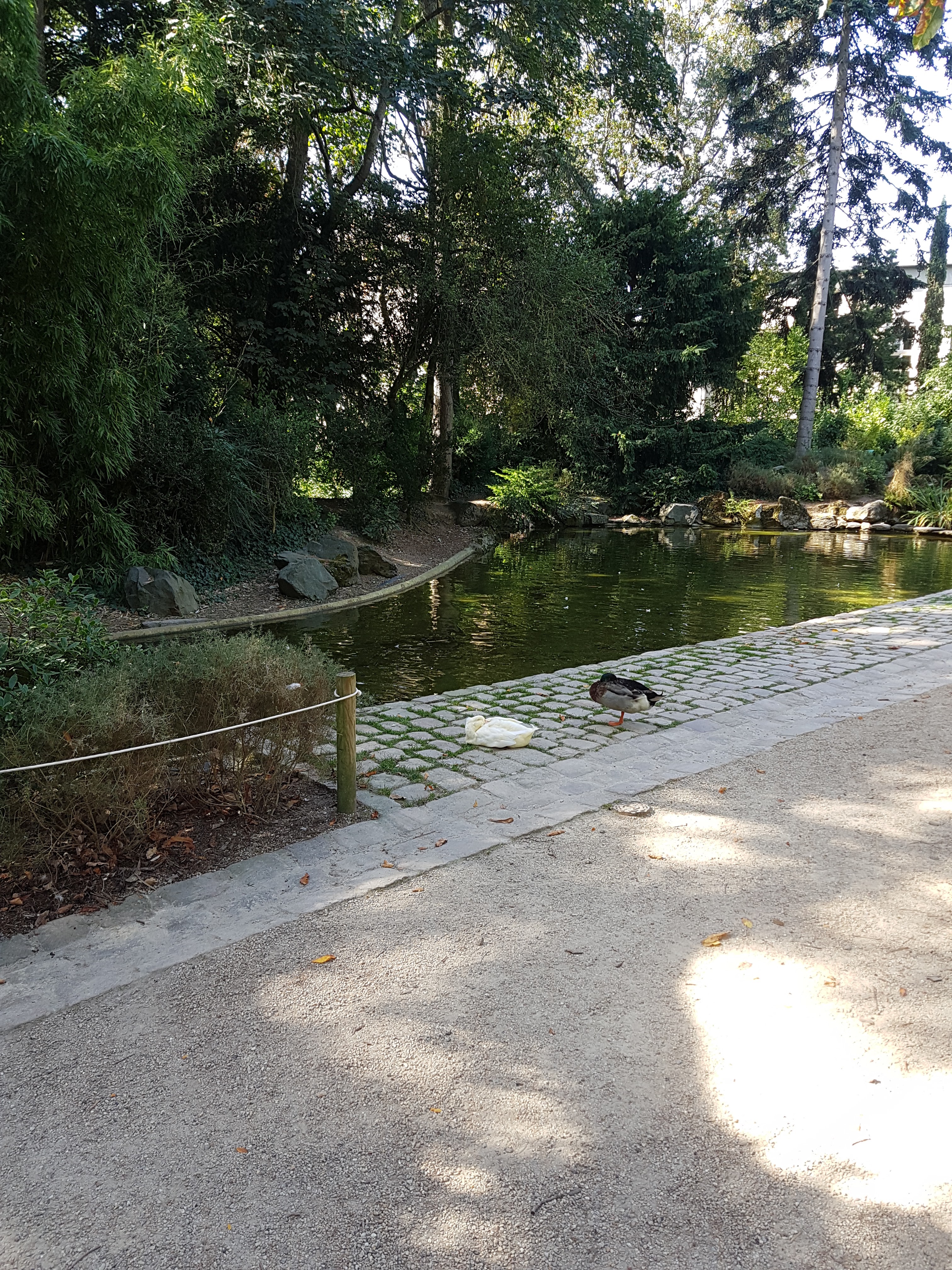 Photo n° 2 de l'avis de Sarah.o fait le 05/10/2018 à 15:18