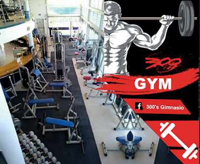 300 Gym - Blvd. Zaragoza, Granjero, 32690 Cd Juárez, Chih., Mexico