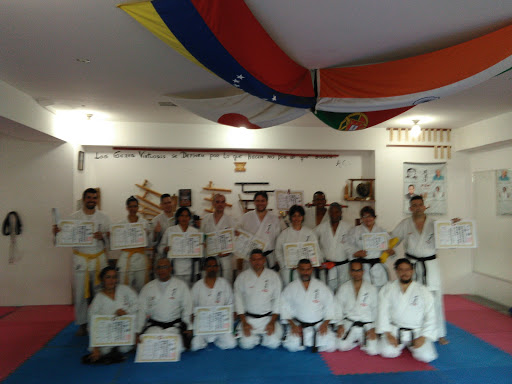 Martial arts classes Caracas
