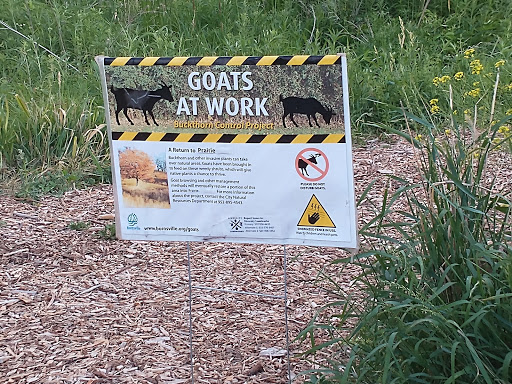 Nature Preserve «Rudy Kraemer Nature Preserve», reviews and photos, 12799 Chowen Ave S, Burnsville, MN 55337, USA