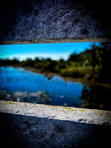 Nature Preserve «Chapel Trail Nature Preserve», reviews and photos, 19800 Sheridan St, Fort Lauderdale, FL 33332, USA