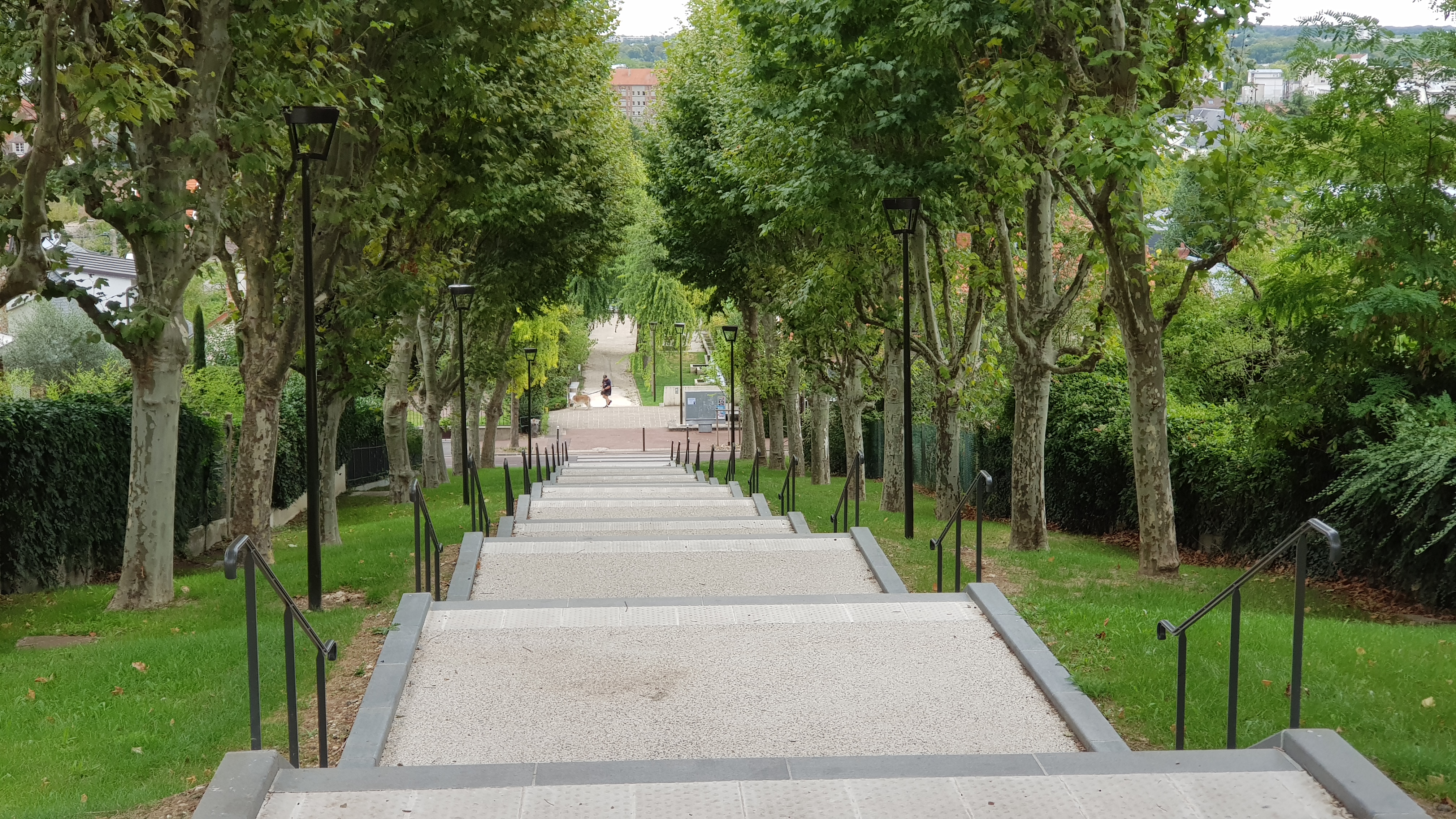 Photo n° 1 de l'avis de Stéphane.A fait le 26/08/2020 à 21:24