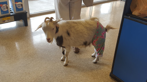 Pet Supply Store «PetSmart», reviews and photos, 2801 Pine Lake Rd, Lincoln, NE 68516, USA