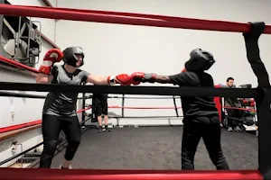 Cut Strong Boxing image