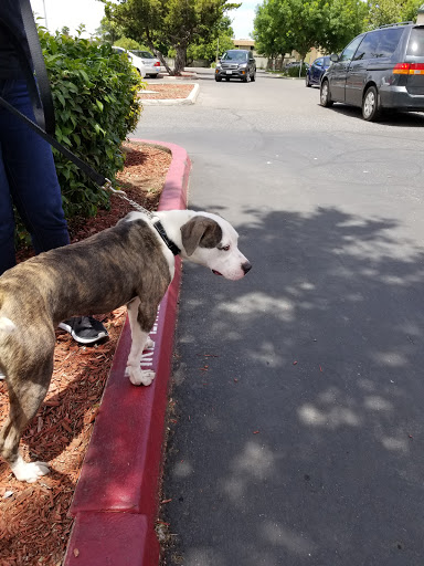 Pet Supply Store «PetSmart», reviews and photos, 2100 McHenry Ave, Modesto, CA 95350, USA