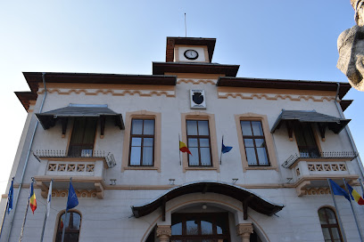 Primăria Slatina