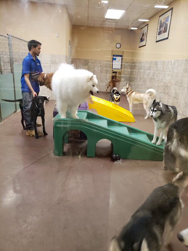 Pet Supply Store «PetSmart», reviews and photos, 315 Gellert Blvd, Daly City, CA 94015, USA