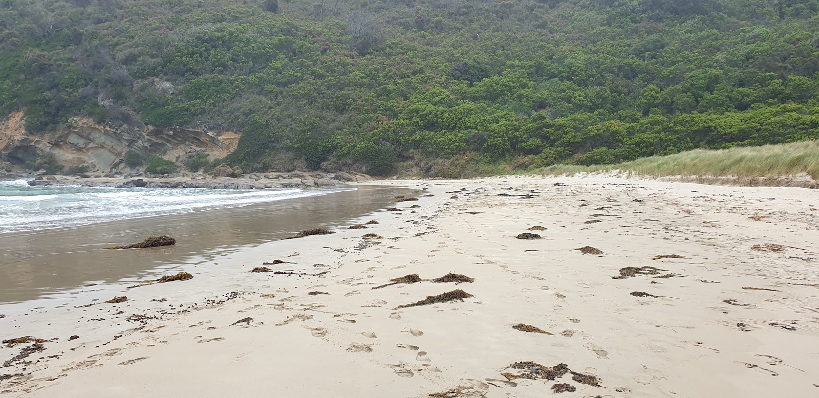 Parker Beach'in fotoğrafı - rahatlamayı sevenler arasında popüler bir yer