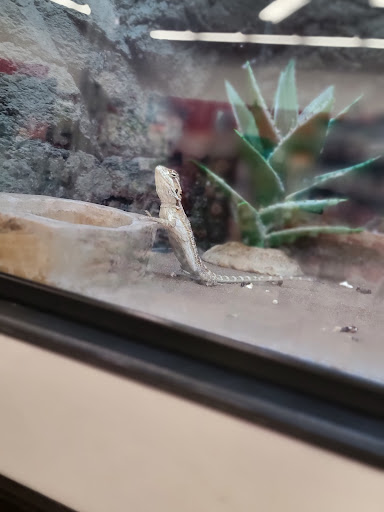 Pet Supply Store «Petco Animal Supplies», reviews and photos, 753 53rd Ave NE, Fridley, MN 55421, USA