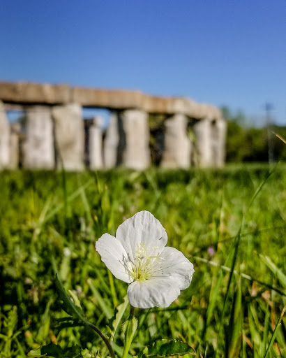 Tourist Attraction «Stonehenge II», reviews and photos, 120 Point Theatre Rd S, Ingram, TX 78025, USA