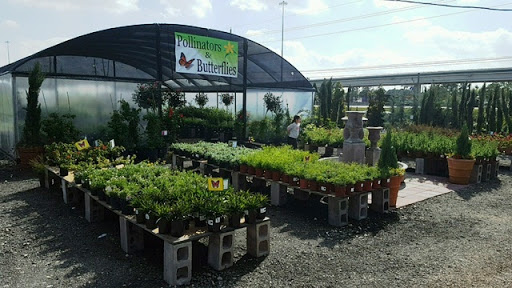 Plant Nursery «HOUSTON PLANTS & GARDEN WORLD», reviews and photos, 16726 North Fwy, Houston, TX 77090, USA