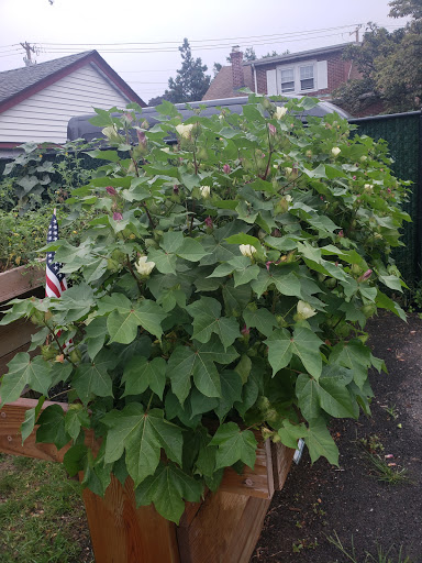 Park «Centennial Park», reviews and photos, 1 E Centennial Ave, Roosevelt, NY 11575, USA