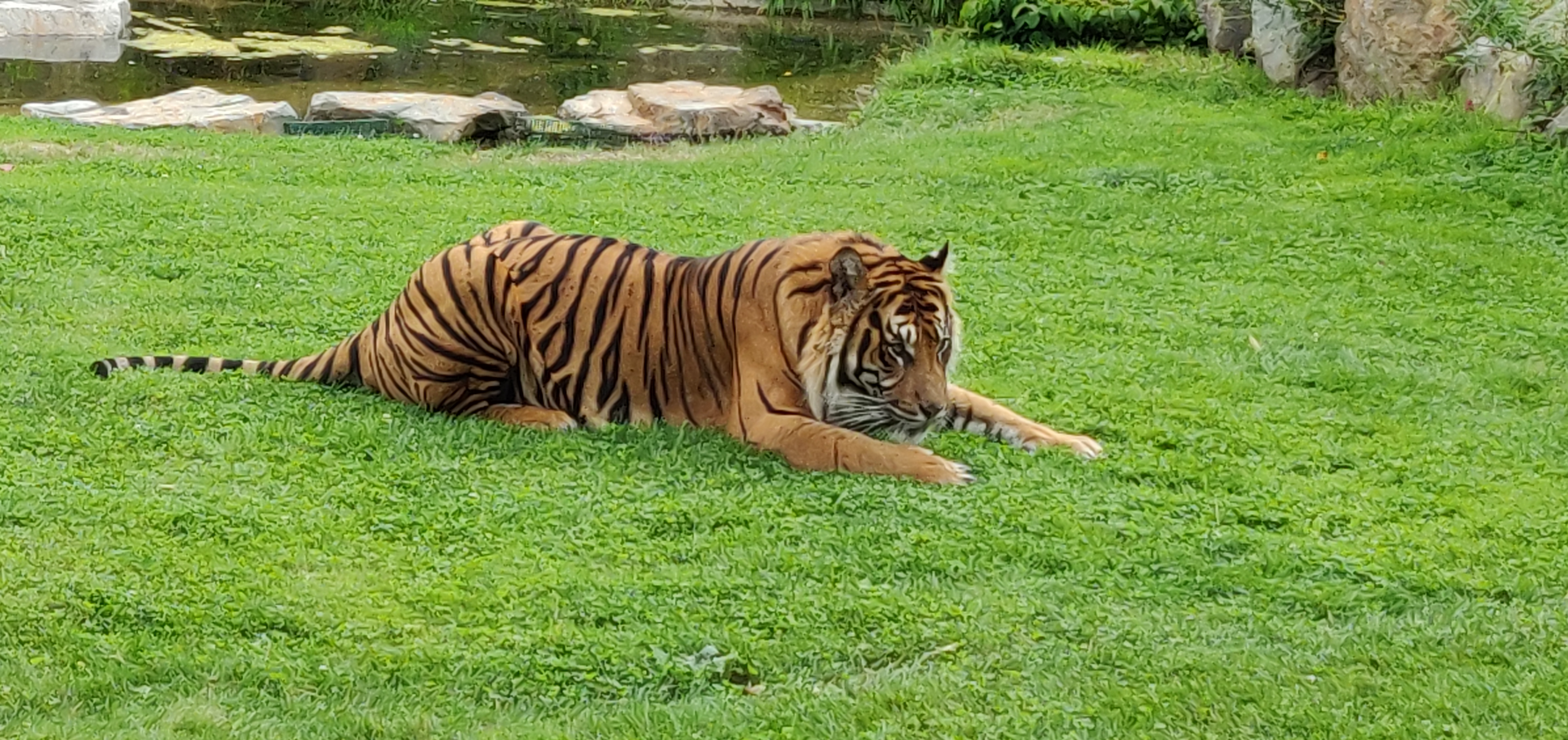 Photo n° 43 de l'avis de CHRISTIAN.A fait le 16/08/2019 à 16:59