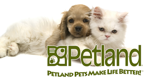 Pet Store «Petland Batavia», reviews and photos, 401 N Randall Rd, Batavia, IL 60510, USA