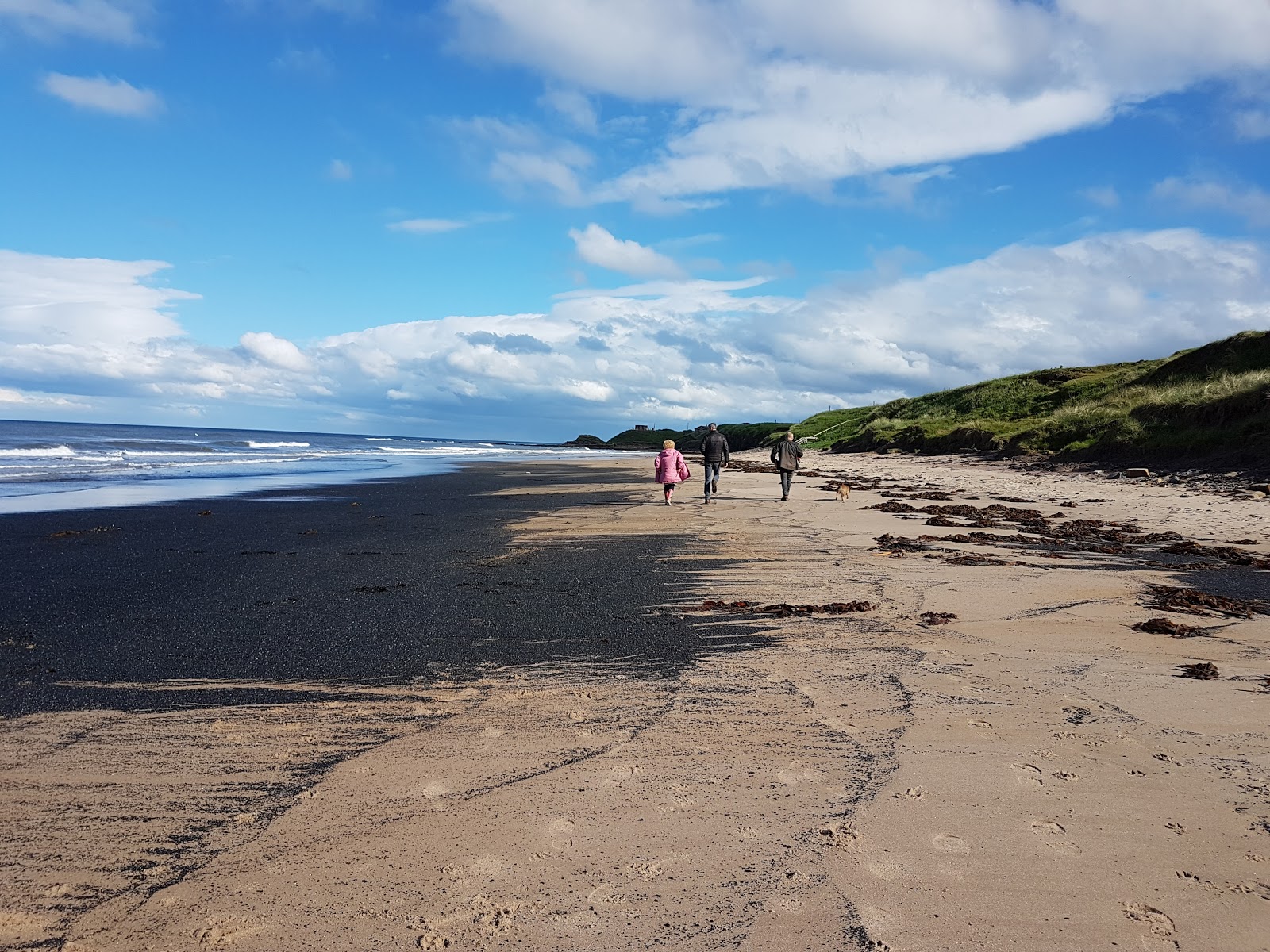 Foto af Cresswell Strand med høj niveau af renlighed