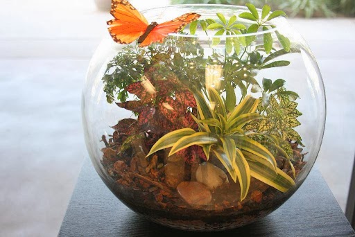 Florist «In Flower», reviews and photos, 1050 E Imperial Hwy #C-1, Brea, CA 92821, USA