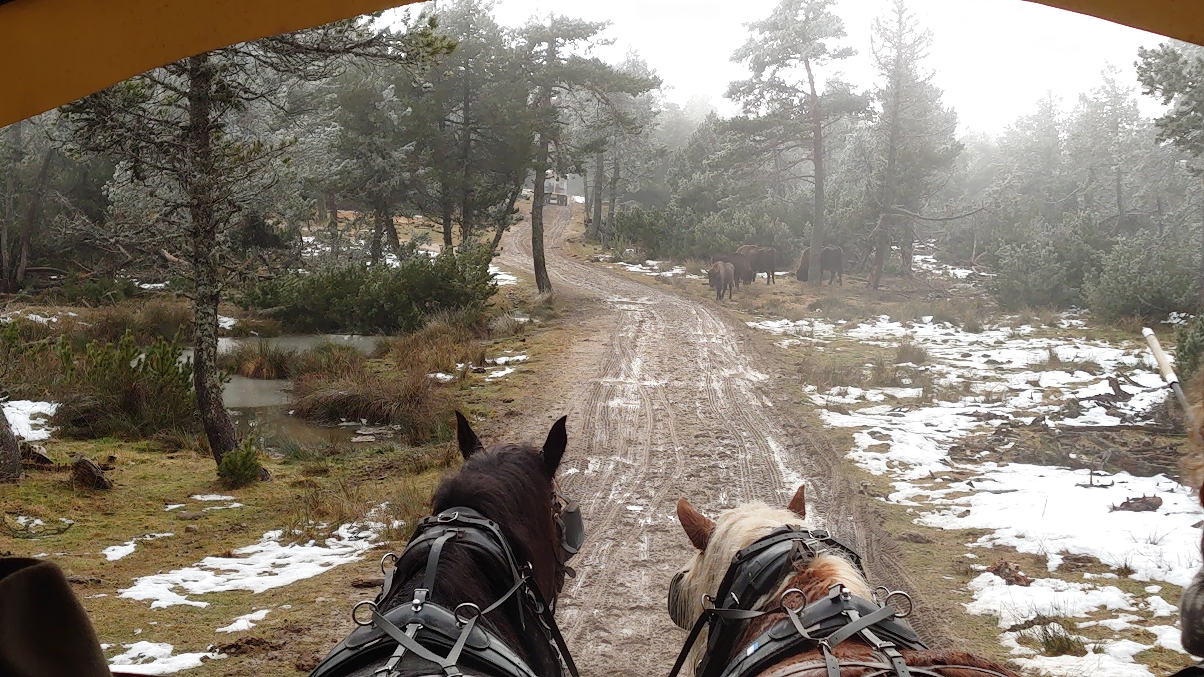 Photo n° 2 de l'avis de Christine.o fait le 29/12/2019 à 10:27