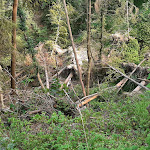 Photo n°14 de l'avis de Francesco.i fait le 13/07/2019 à 15:38 sur le  Valleverde à centro valle intelvi