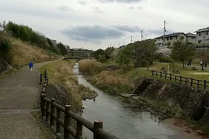 Hiratanigawa Ryokuchi Park image