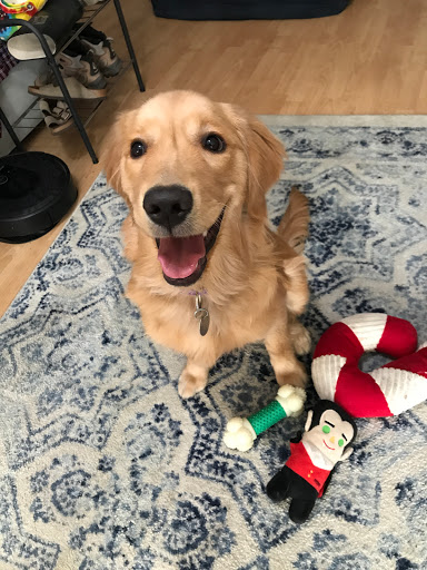 Pet Supply Store «Pet Food Express», reviews and photos, 1388 S California Blvd, Walnut Creek, CA 94596, USA