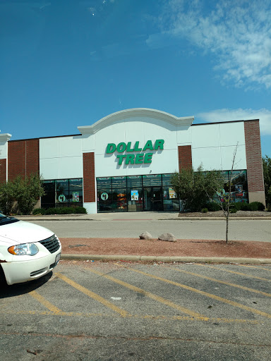 Dollar Store «Dollar Tree», reviews and photos, 276 E Rollins Rd, Round Lake Beach, IL 60073, USA