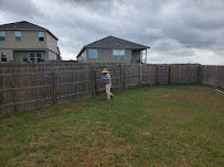 Alpine Pest Solutions - Photo 2 - Car repair in , Austin