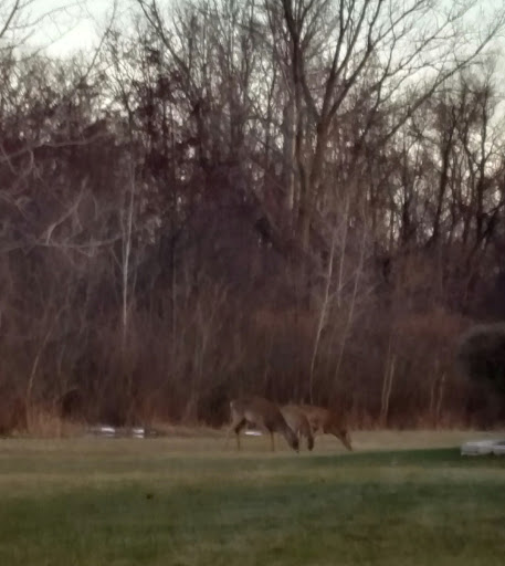 Nature Preserve «Greenbelt Forest Preserve», reviews and photos, 1110 S Green Bay Rd, North Chicago, IL 60035, USA